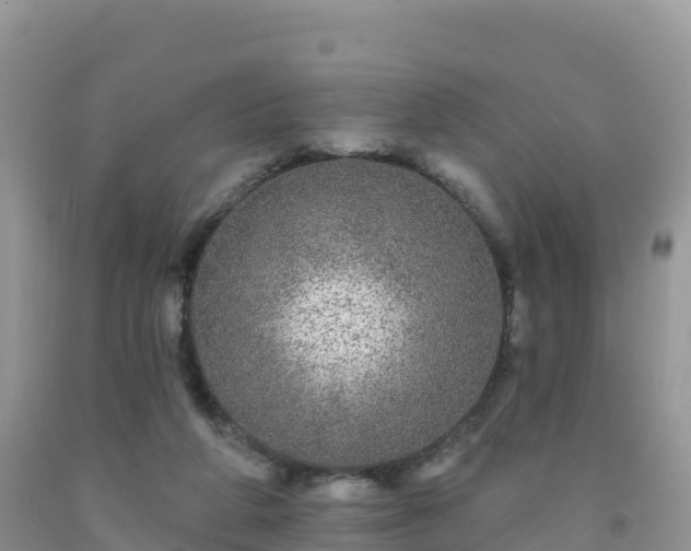 X0000092080210200709191231