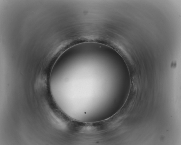 X0000092080212200709191231