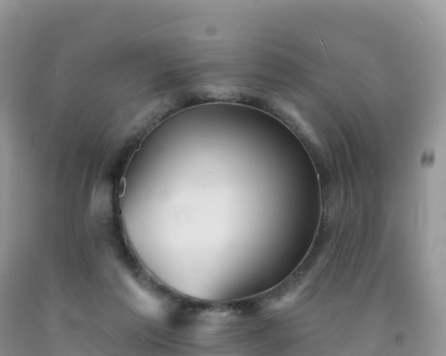 X0000092080213200709191231