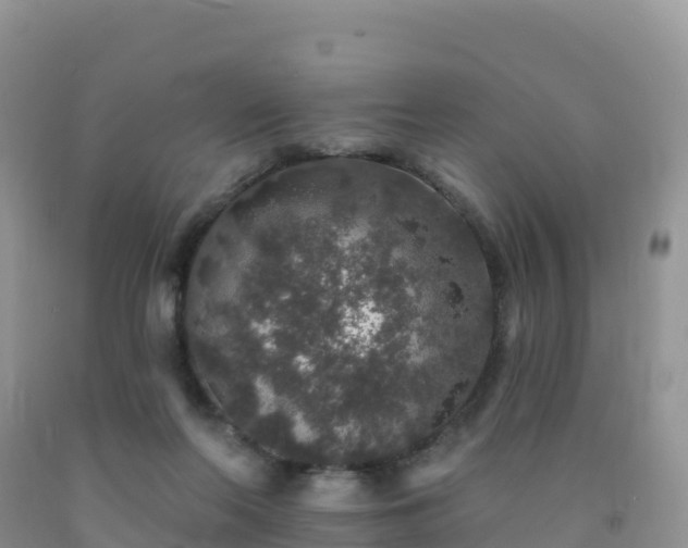 X0000092080214200709191231