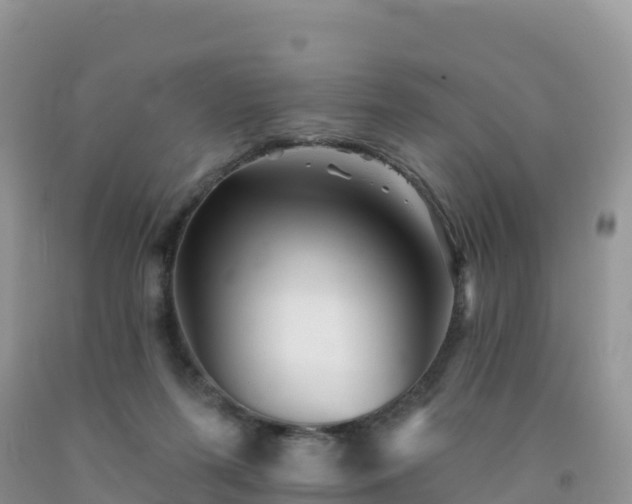 X0000092080215200709191231