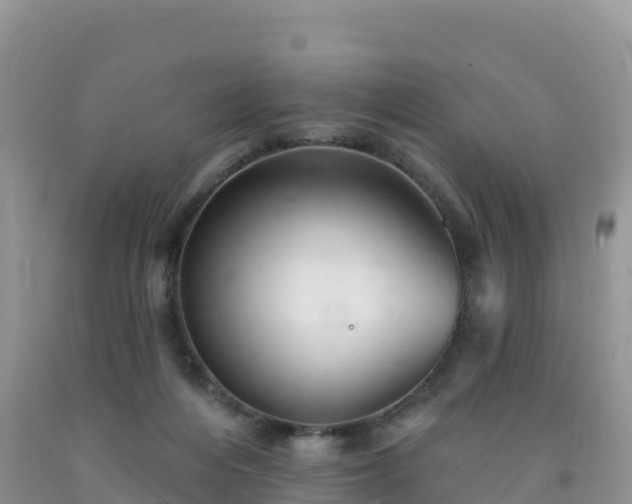 X0000092080216200709191231
