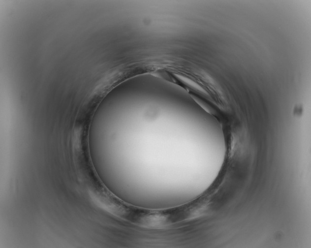 X0000092080217200709191231
