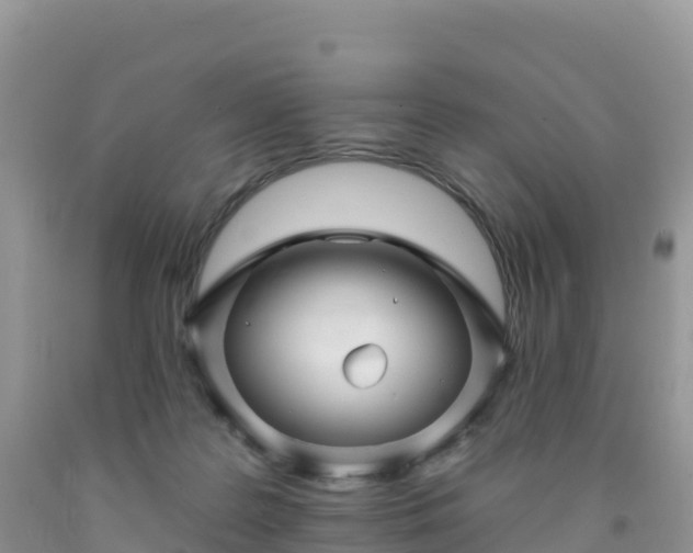 X0000092080219200709191231