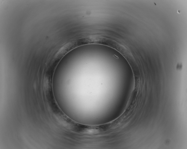 X0000092080220200709191231