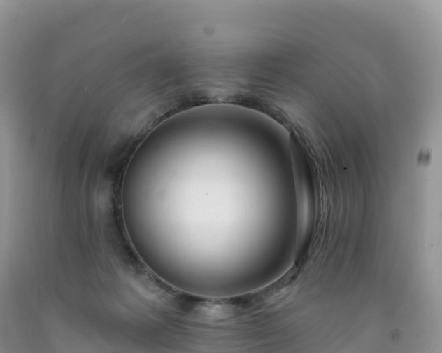 X0000092080221200709191231