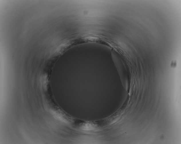 X0000092080223200709191231