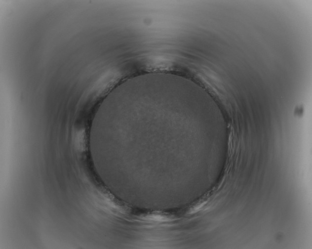 X0000092080224200709191231