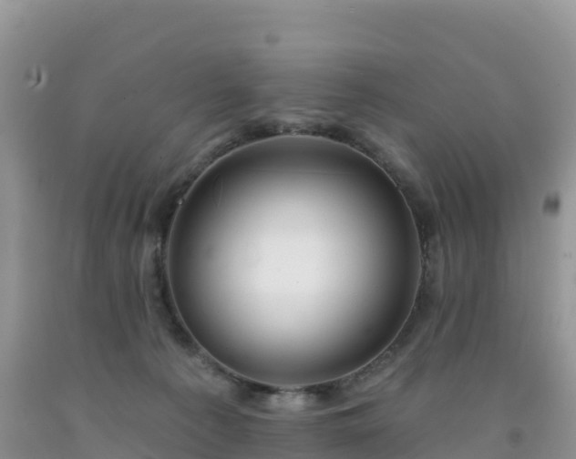 X0000092080225200709191231