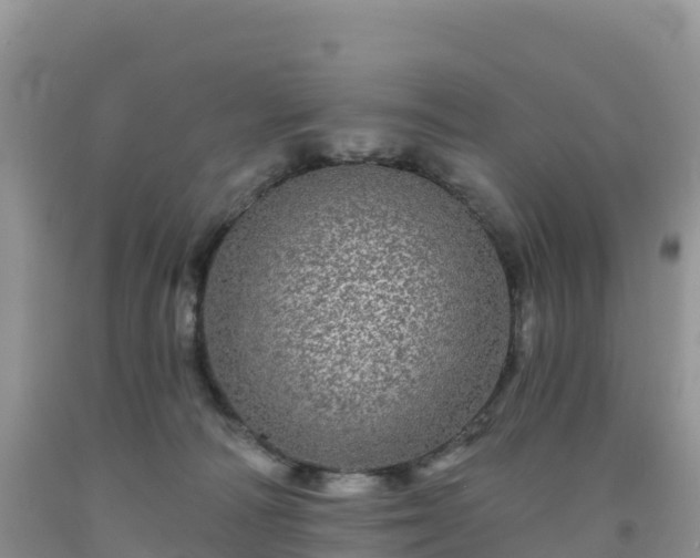 X0000092080226200709191231