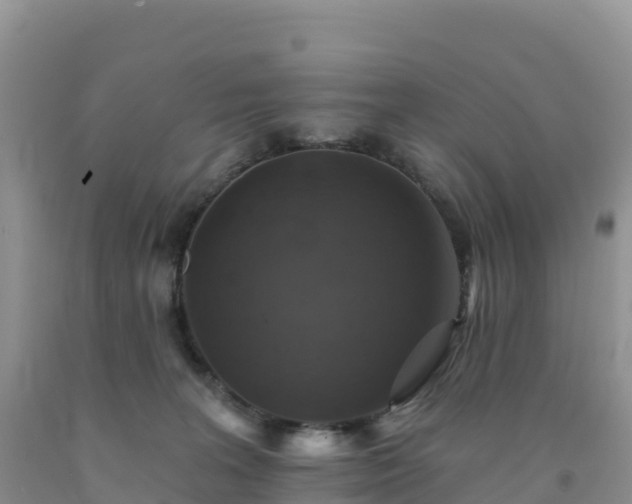 X0000092080227200709191231