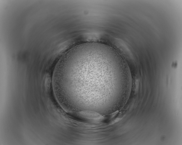 X0000092080228200709191231
