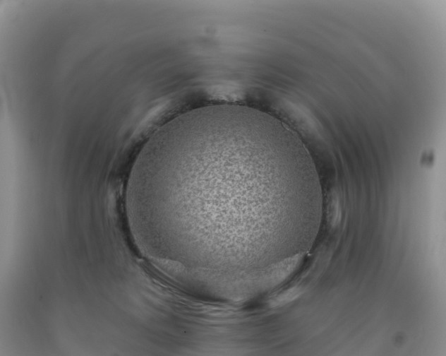 X0000092080229200709191231