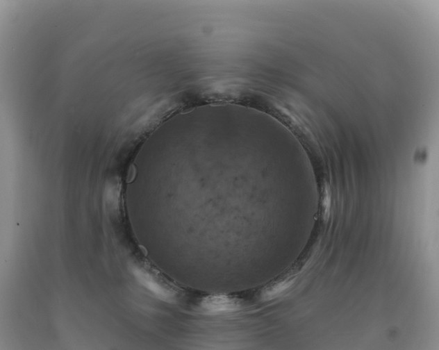X0000092080231200709191231