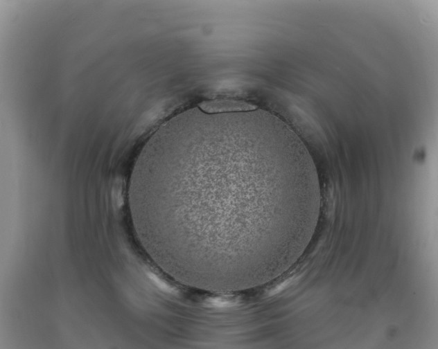 X0000092080232200709191231