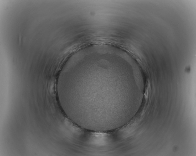X0000092080233200709191231