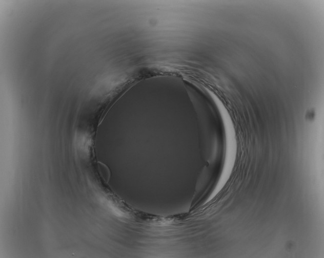 X0000092080235200709191231