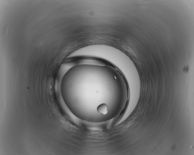 X0000092080237200709191231