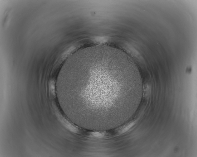 X0000092080238200709191231