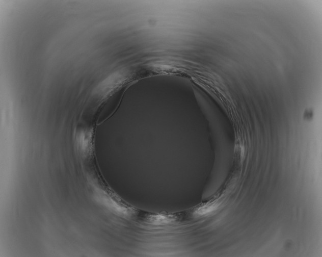 X0000092080239200709191231