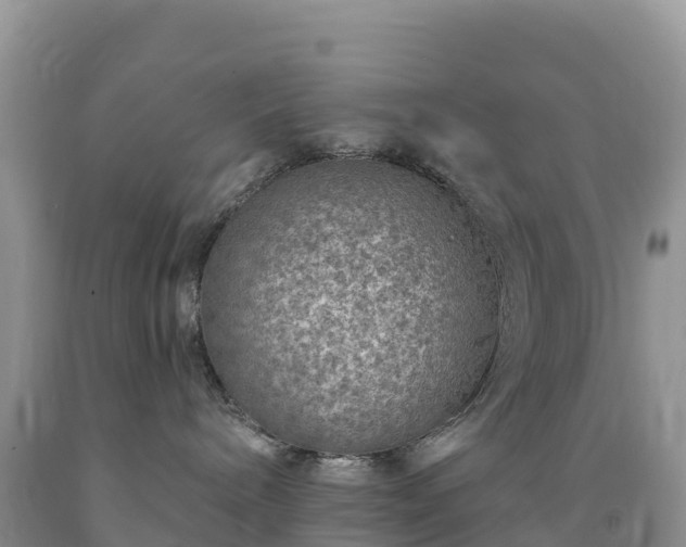 X0000092080240200709191231