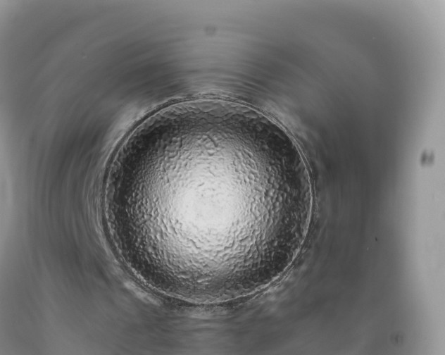 X0000092080241200709191230