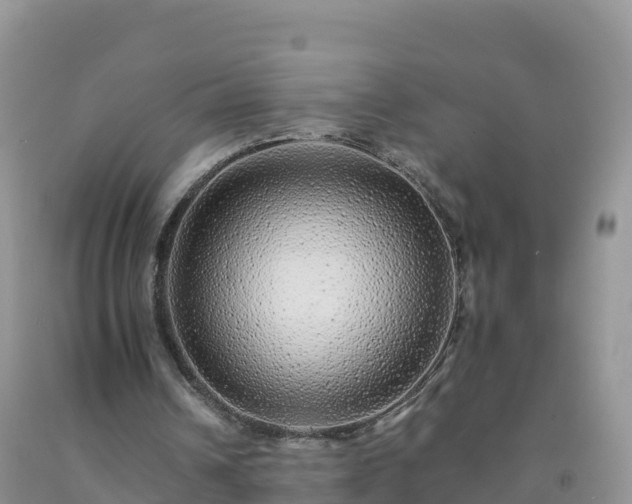 X0000092080242200709191230