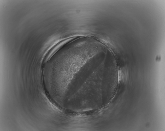 X0000092080243200709191230