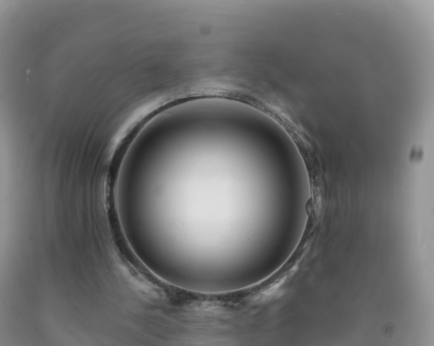 X0000092080244200709191230