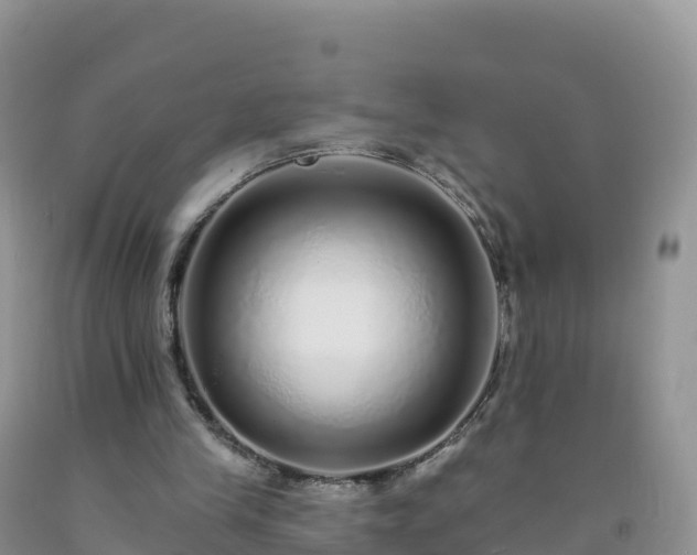 X0000092080245200709191230