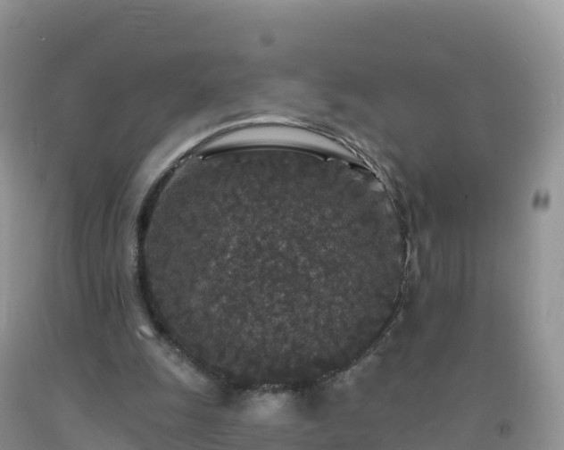 X0000092080247200709191230
