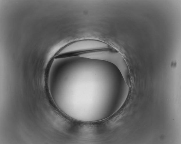 X0000092080248200709191230