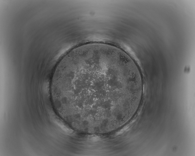 X0000092080249200709191230