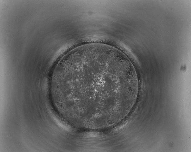 X0000092080250200709191230