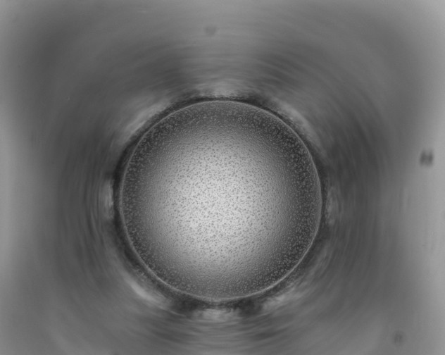X0000092080251200709191230