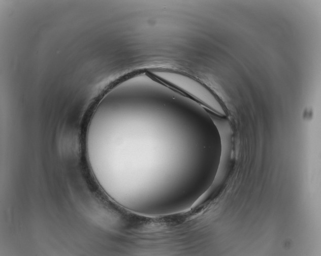X0000092080252200709191230