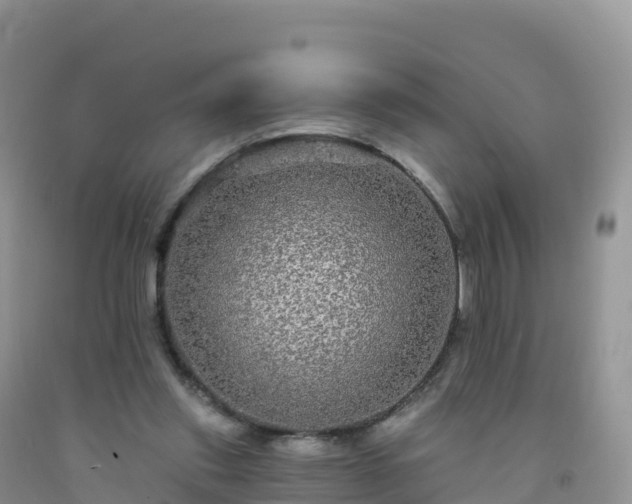 X0000092080253200709191230