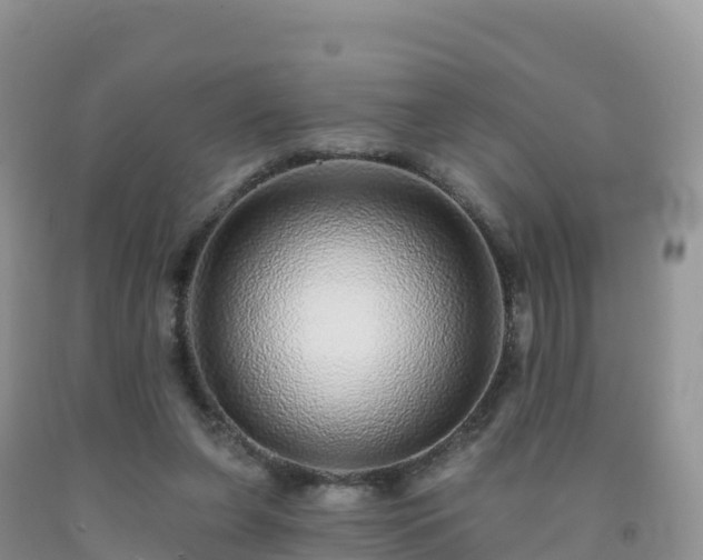 X0000092080255200709191231