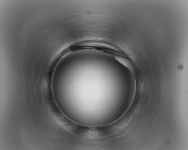 X0000092080256200709191231
