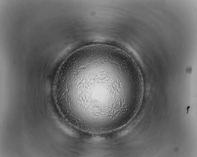 X0000092080257200709191231