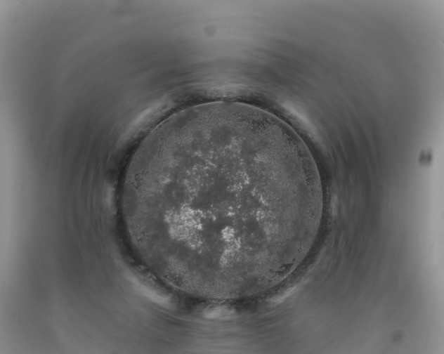 X0000092080258200709191231