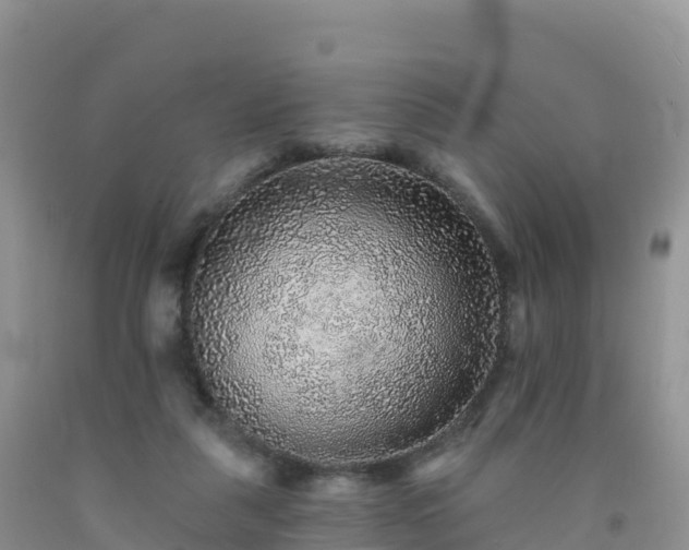 X0000092080259200709191231