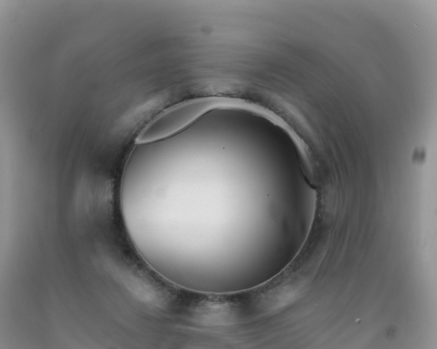 X0000092080260200709191231