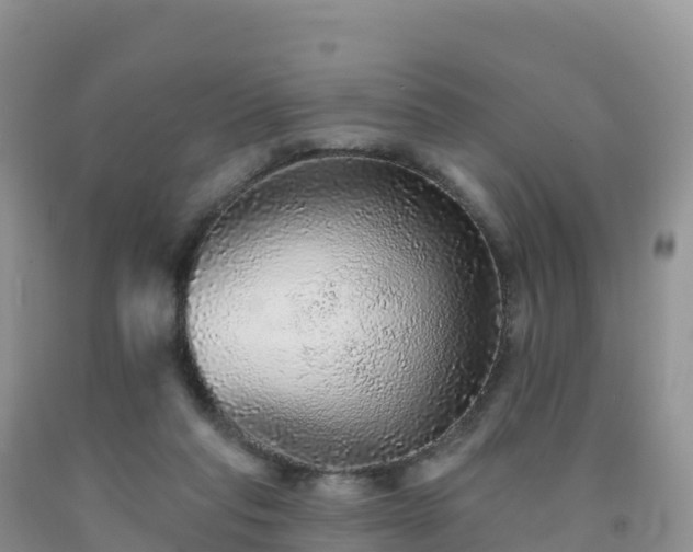 X0000092080261200709191231