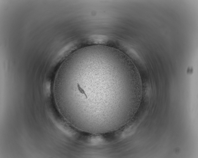 X0000092080262200709191231