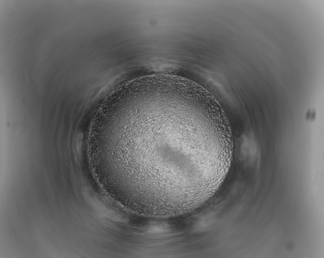 X0000092080263200709191231