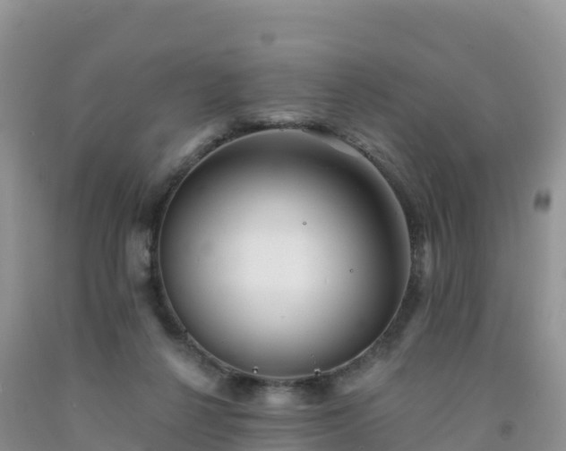 X0000092080264200709191231