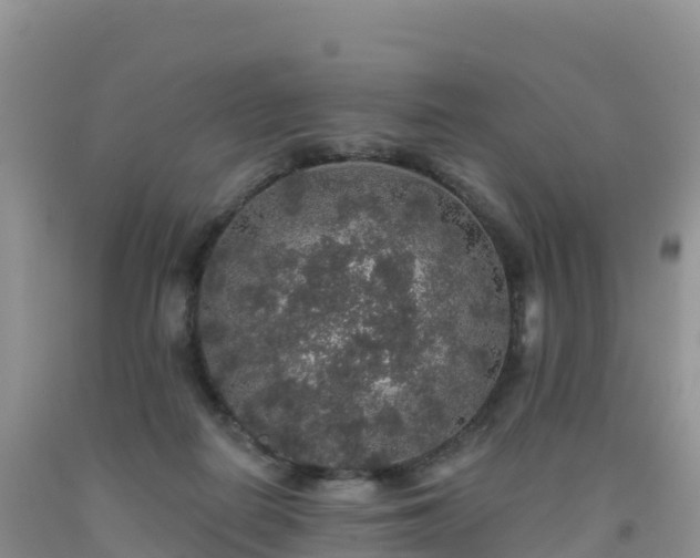 X0000092080266200709191231