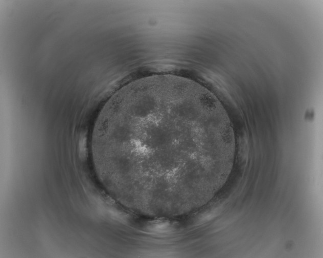 X0000092080267200709191231