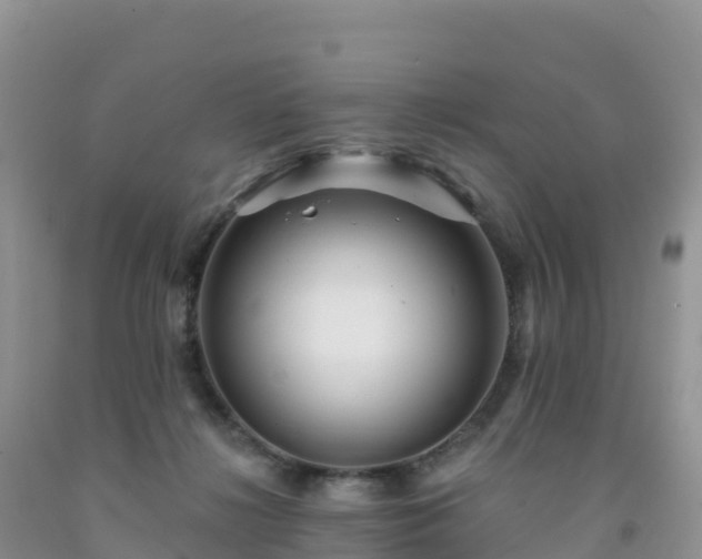 X0000092080268200709191231
